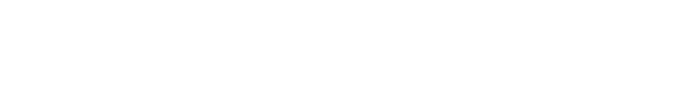 W42S